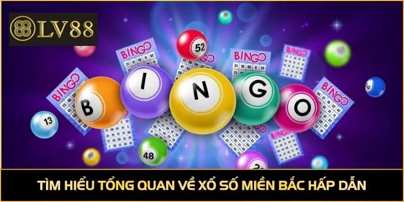 Tìm hiểu tổng quan về xổ số miền Bắc hấp dẫn